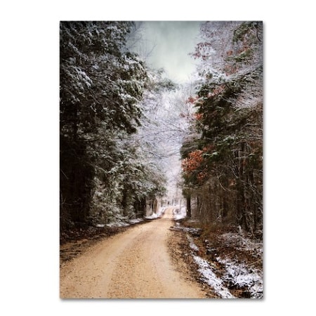 Jai Johnson 'Winter Paradise' Canvas Art,14x19